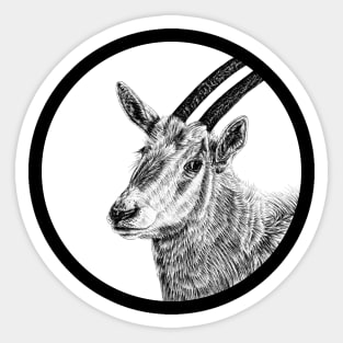 Scimitar-horned oryx Sticker